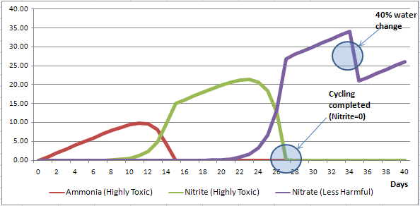 Aquarium Tank Cycling Chart